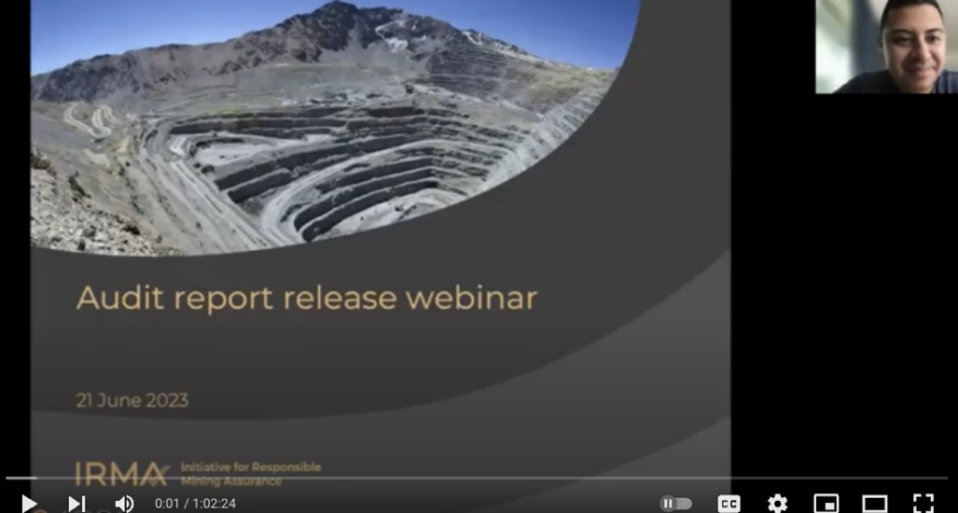 Screenshot of webinar